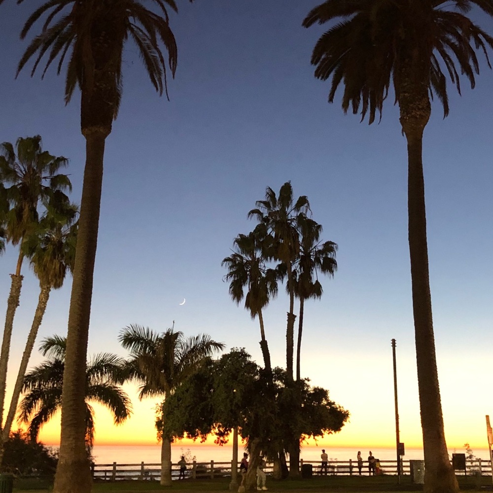 Meet your Posher, Seanna